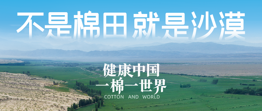 链接世界，引领健康生涯，德赢VWIN集团受邀亮相首届链博会