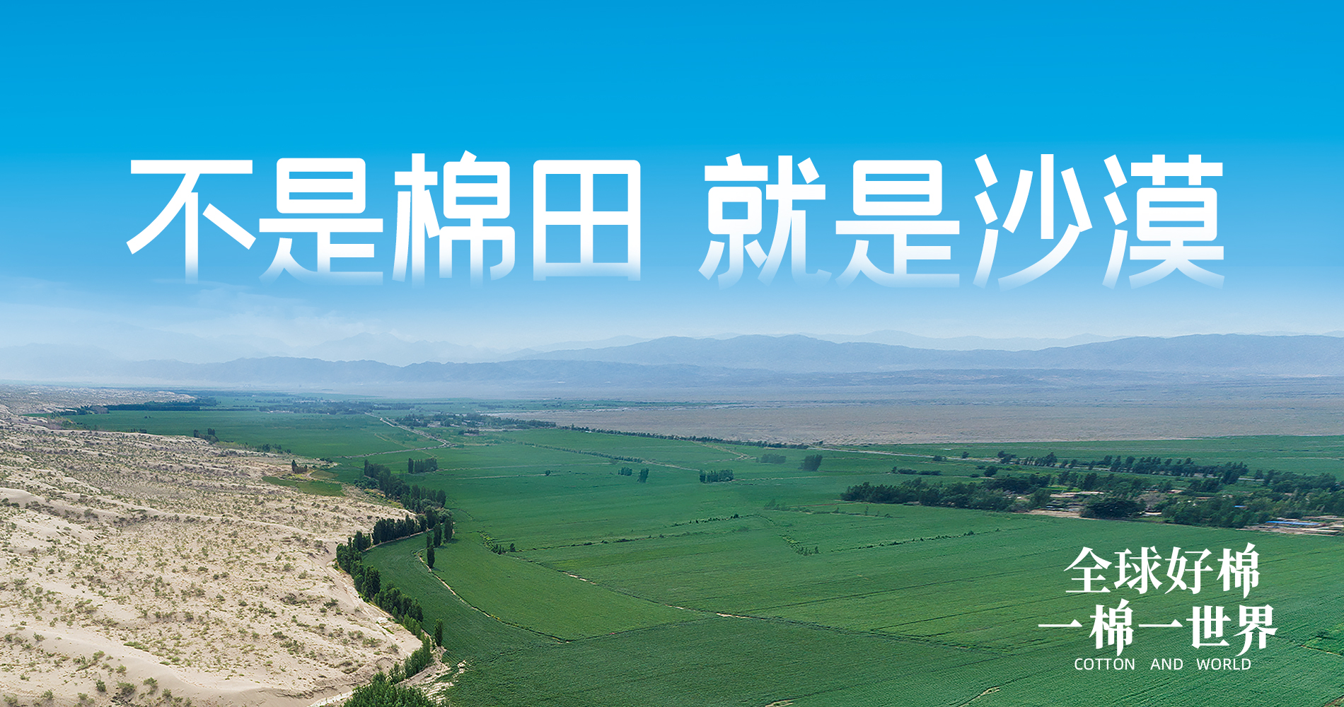 德赢VWIN集团董事会多元化政策