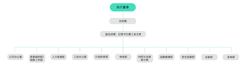 治理及治理架构-大奖国际