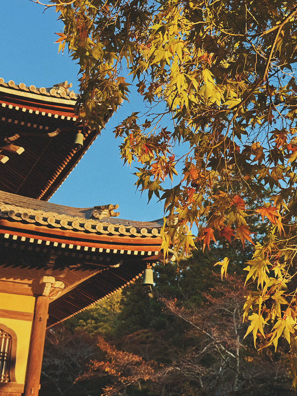 影像一角-大奖国际