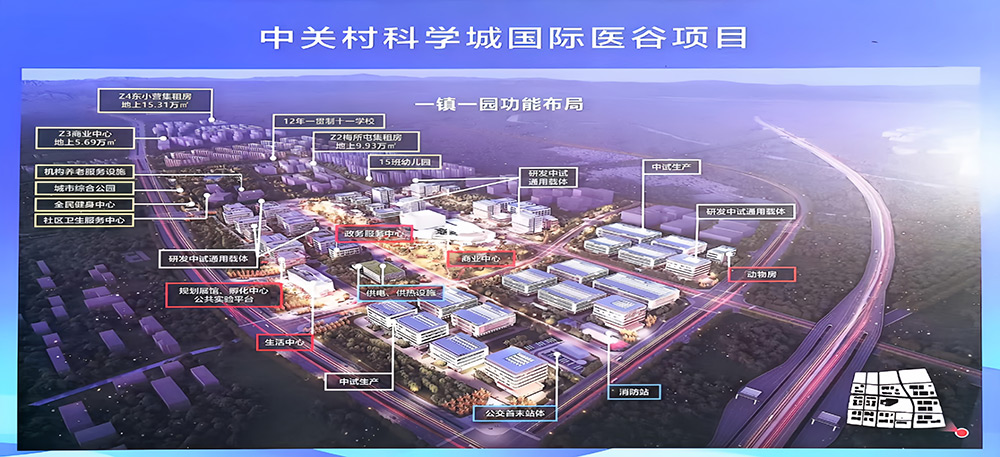 公司新闻-大奖国际